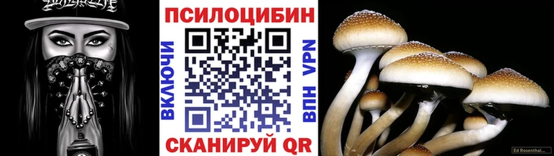 Псилоцибиновые грибы Psilocybine cubensis  Каменск-Шахтинский 